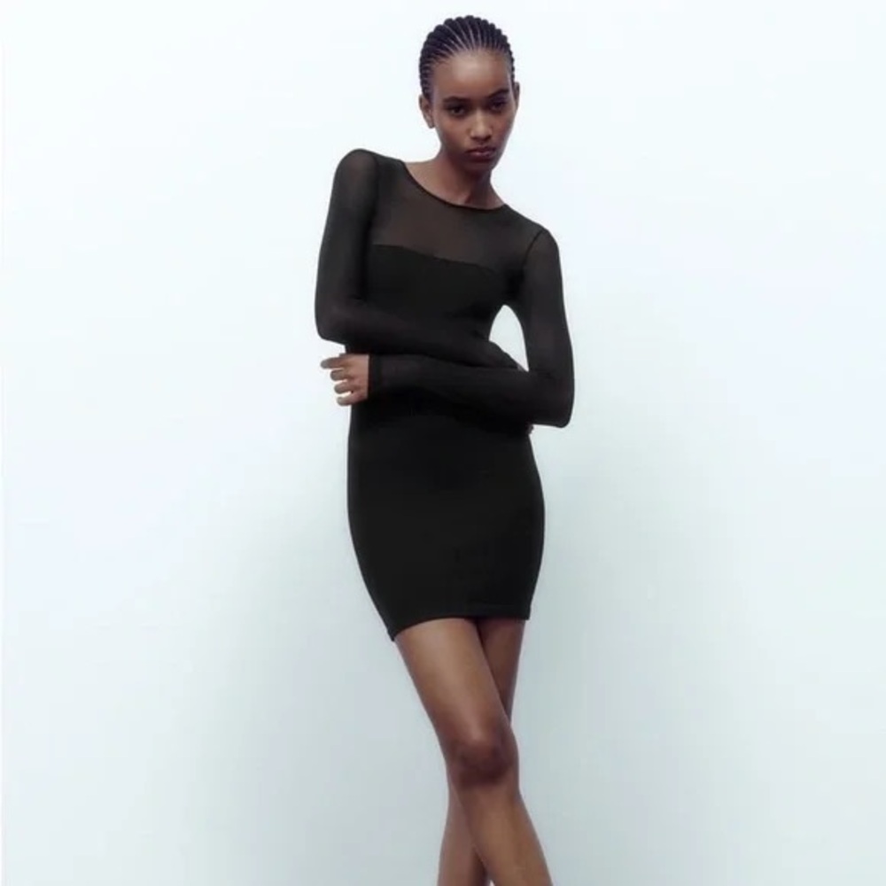 Zara Elegant Black Sheer Sleeve Dress